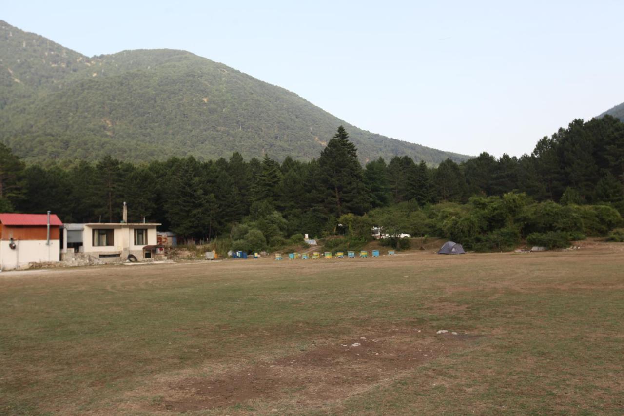 Hamiti Camping Center Dukat Экстерьер фото